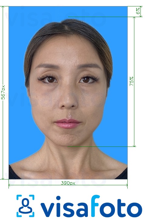 Esempio di foto per Test di competenza Putonghua 390x567 pixel sfondo blu con specifiche delle dimensioni esatte
