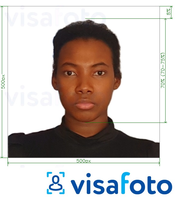 Esempio di foto per Kenya e-visa online 500x500 pixel con specifiche delle dimensioni esatte