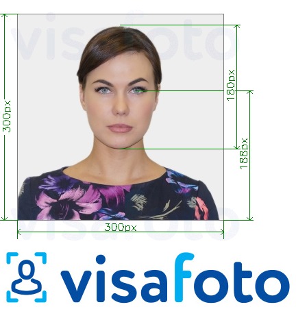 Esempio di foto per Carta d'identità di Southeastern in linea 300x300 px con specifiche delle dimensioni esatte